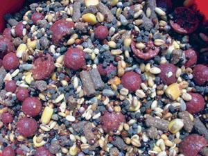 bile colorate - 2936b5b9.jpg